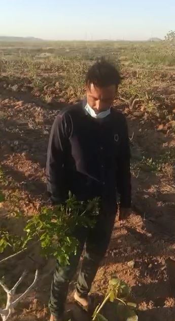 اکسیر رشد 5