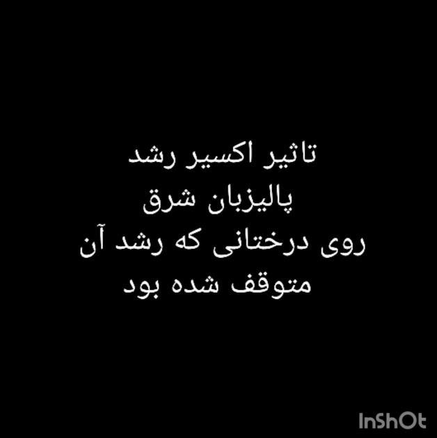 اکسیر رشد 9